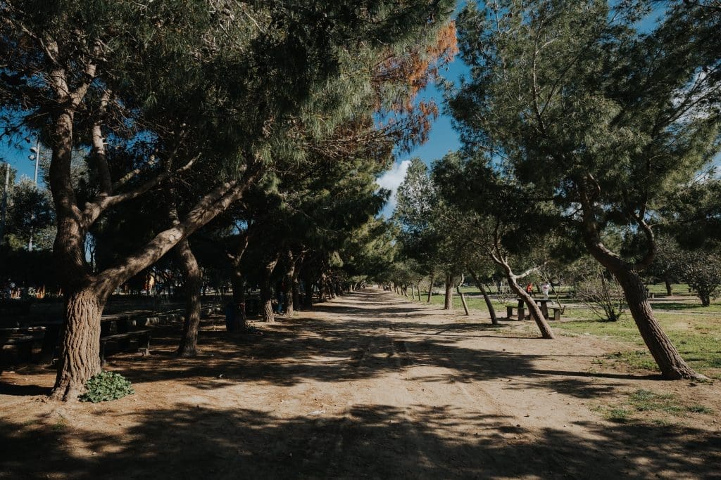 Ta' Qali National Park - Picnic Area