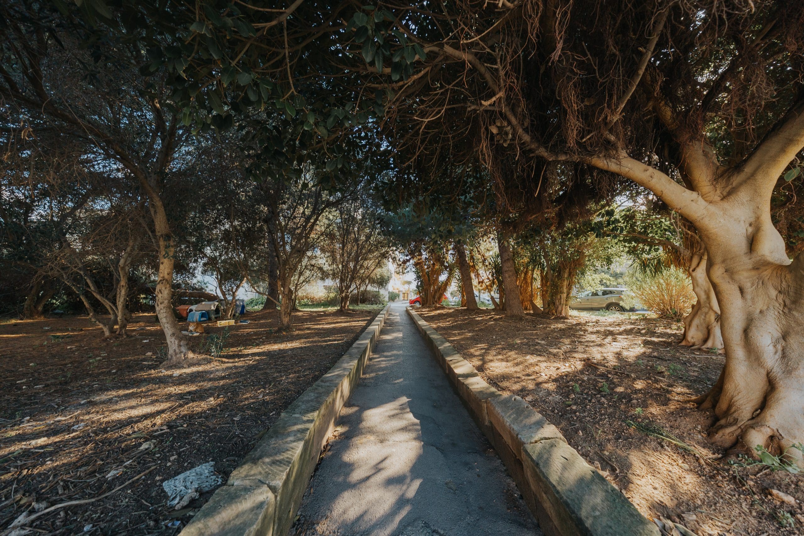 Attard – Hal Warda - 005 - shaunspiteri