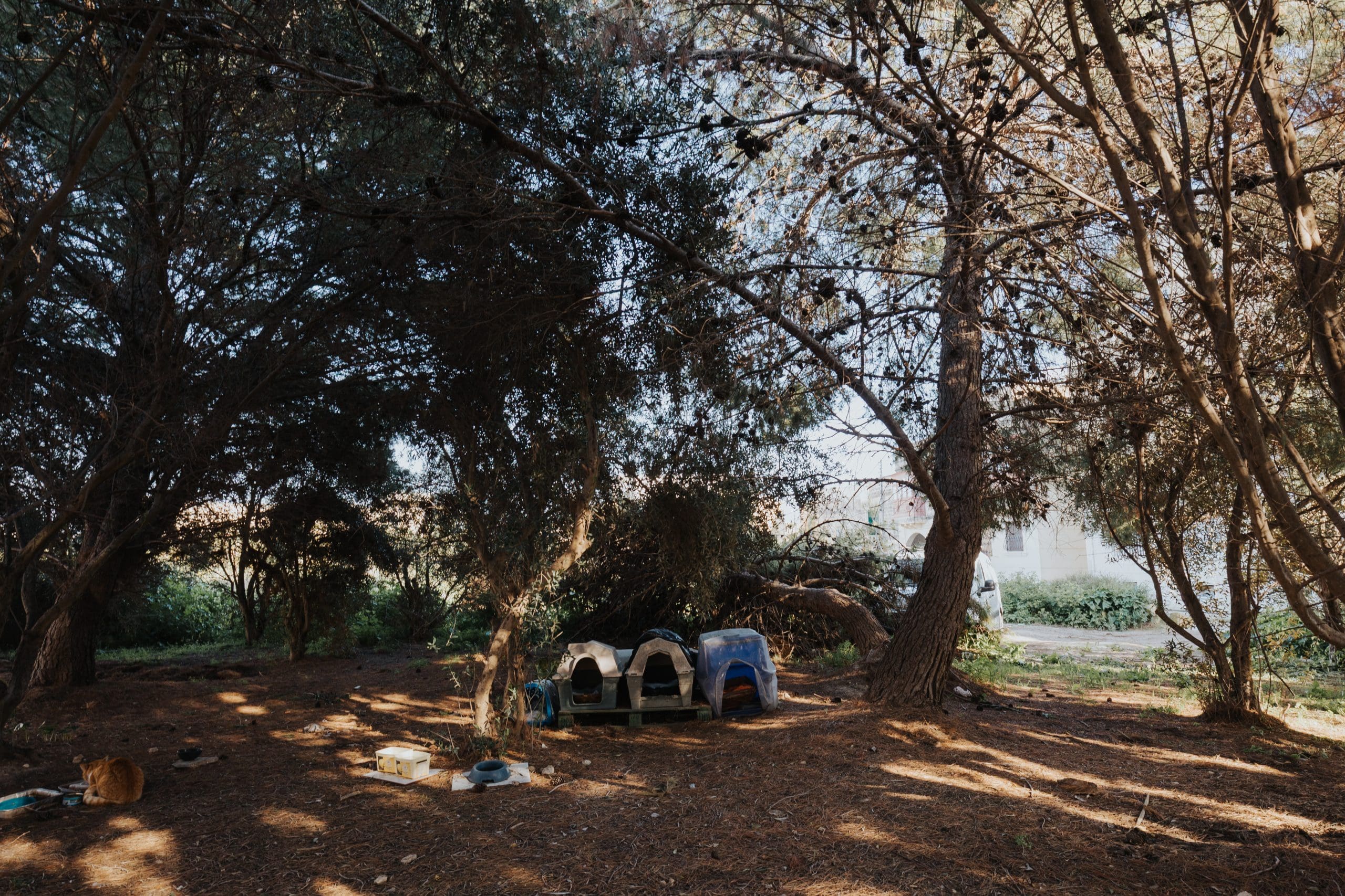 Attard – Hal Warda - 007 - shaunspiteri