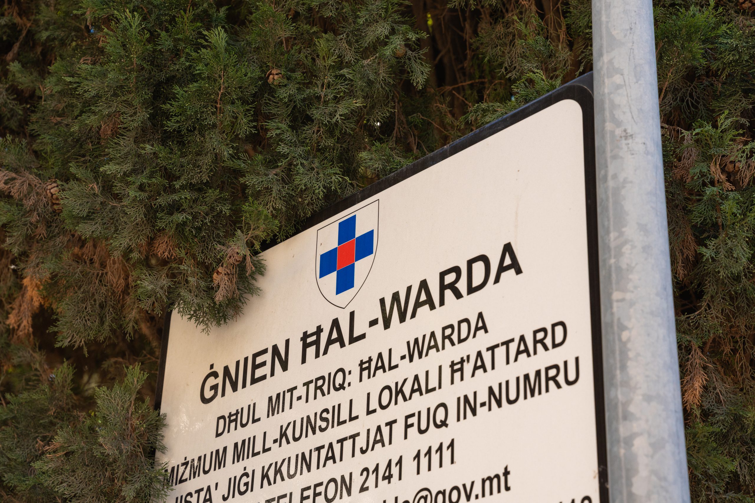 Gnien Hal Warda-2