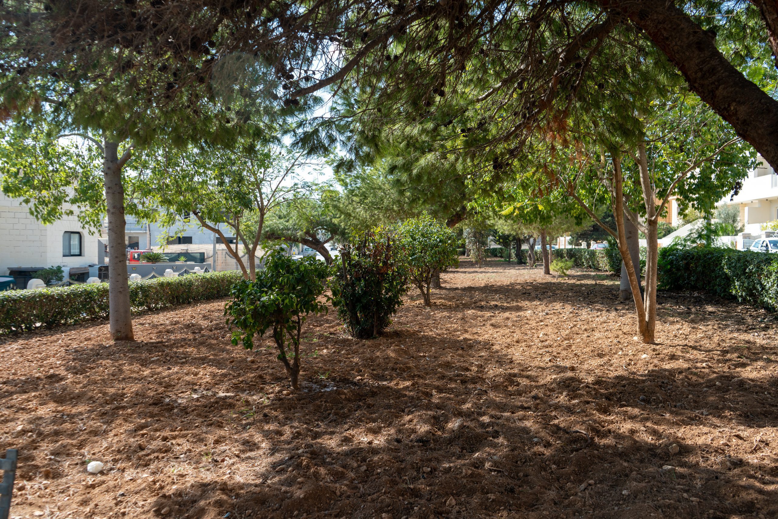 Masgar Pierre Muscat-2