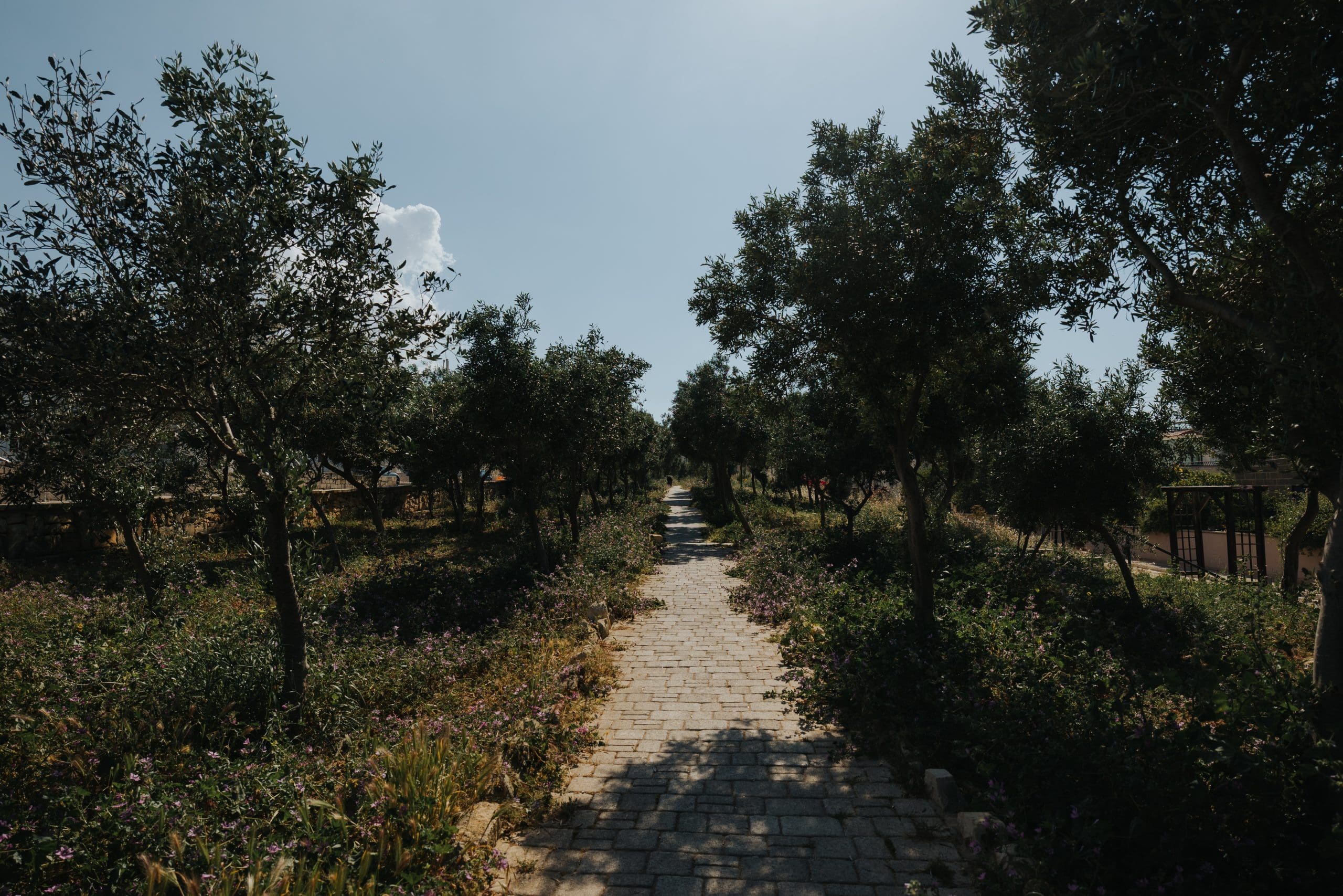 San Gwann – Leopoldo Tabone - 111 - shaunspiteri