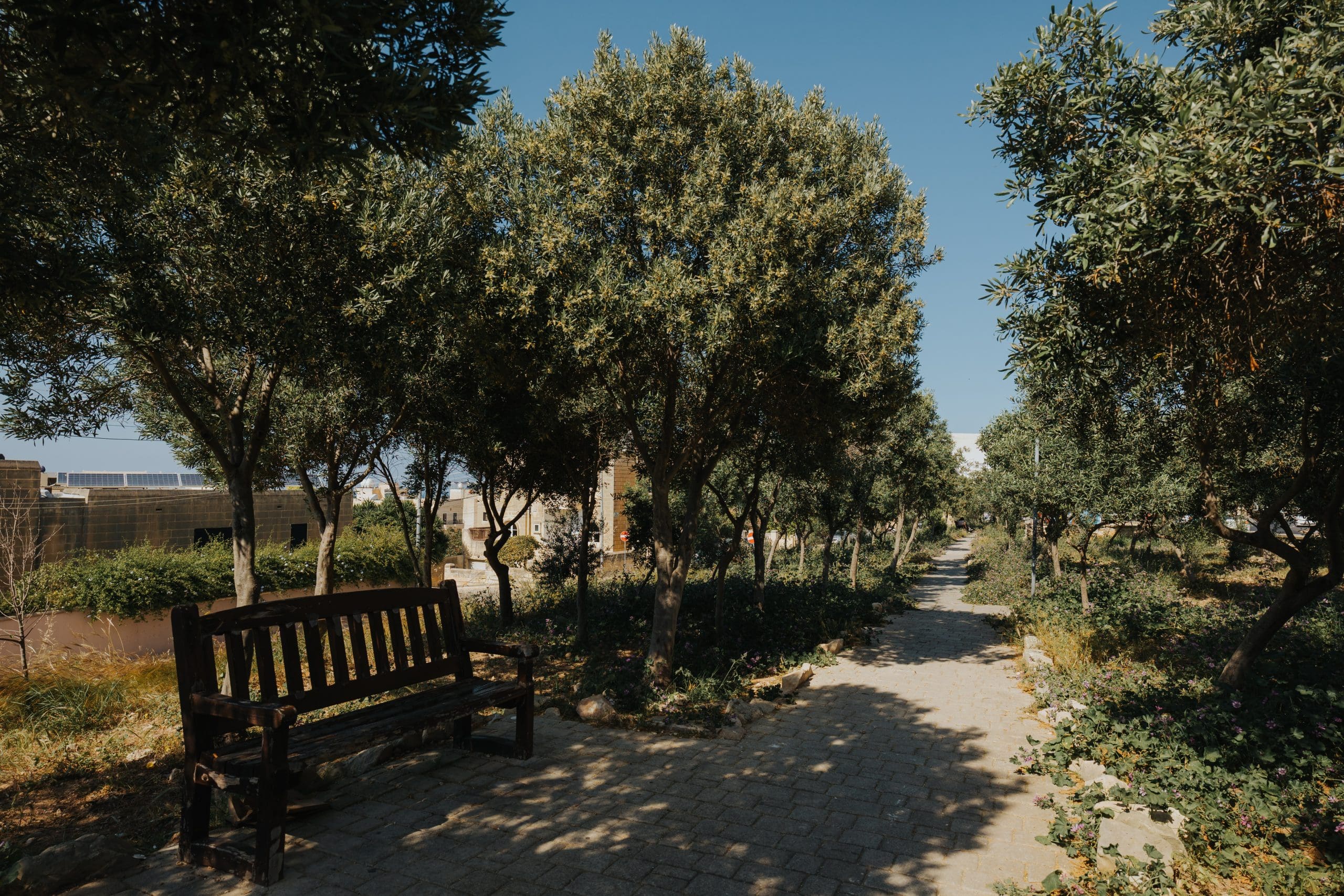 San Gwann – Leopoldo Tabone - 112 - shaunspiteri