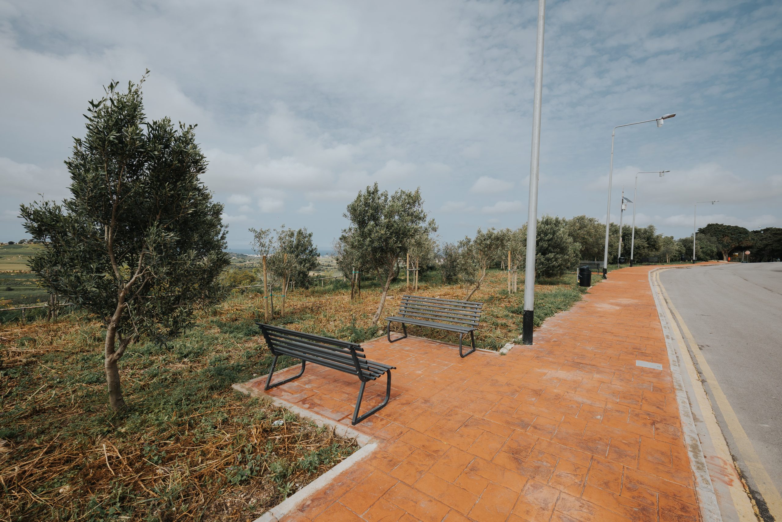Imtarfa - Olive Grove - 035 - shaunspiteri