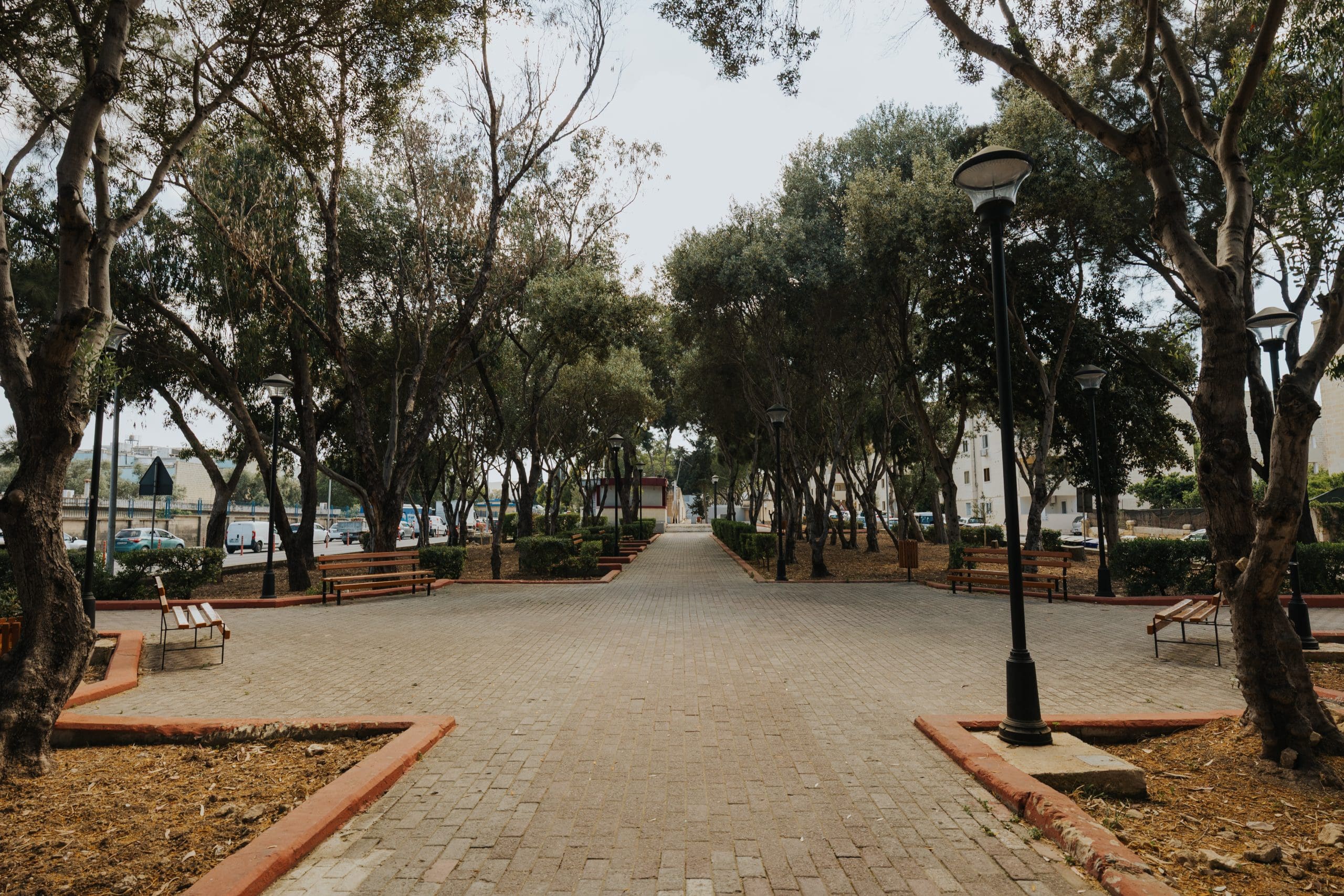 Qormi – De La Cruz - 074 - shaunspiteri