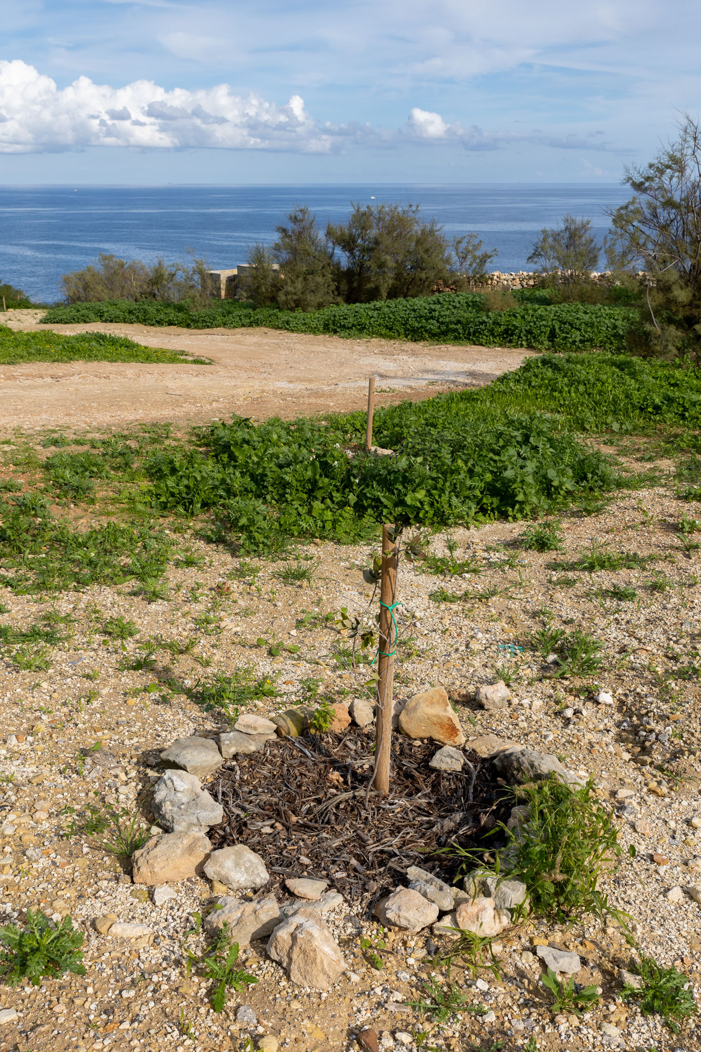 Inwadar-inland_by_DARREN_AGIUS-28