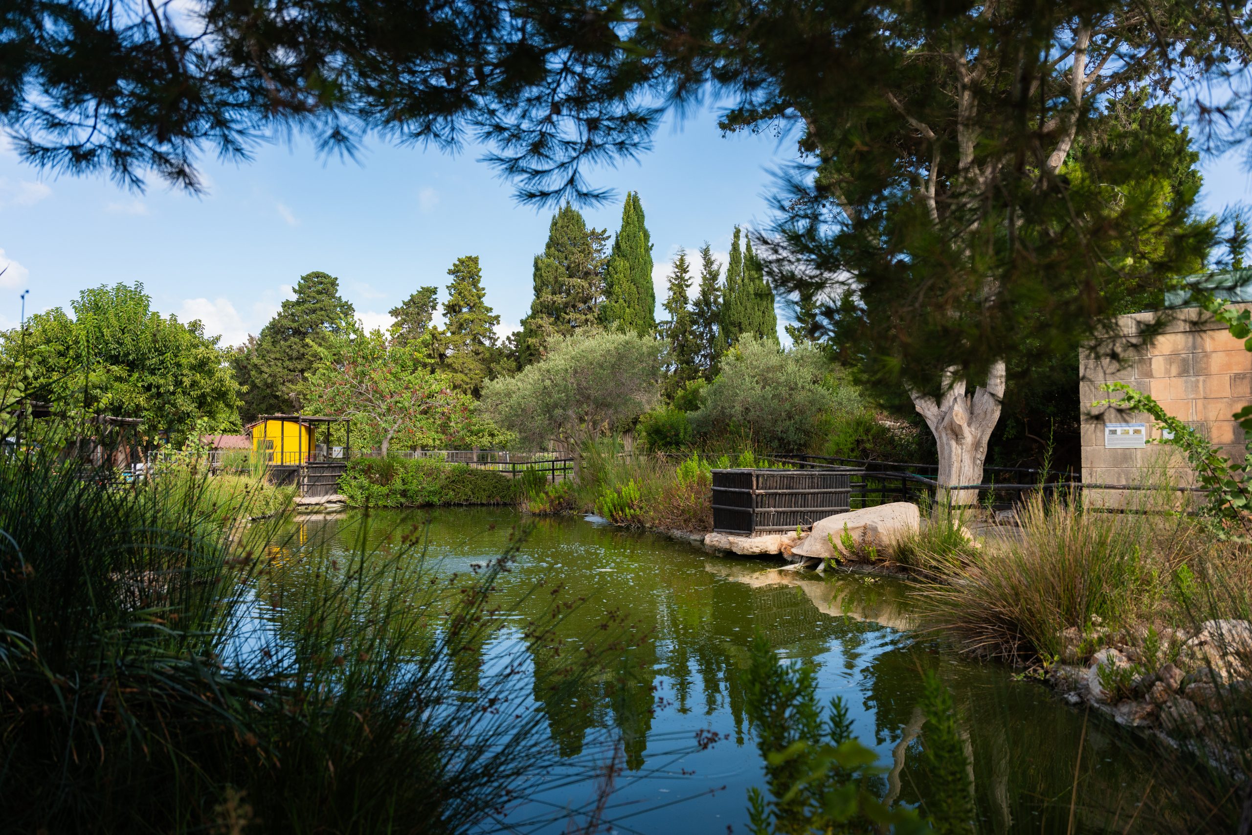 ' Qali Petting Farm 1