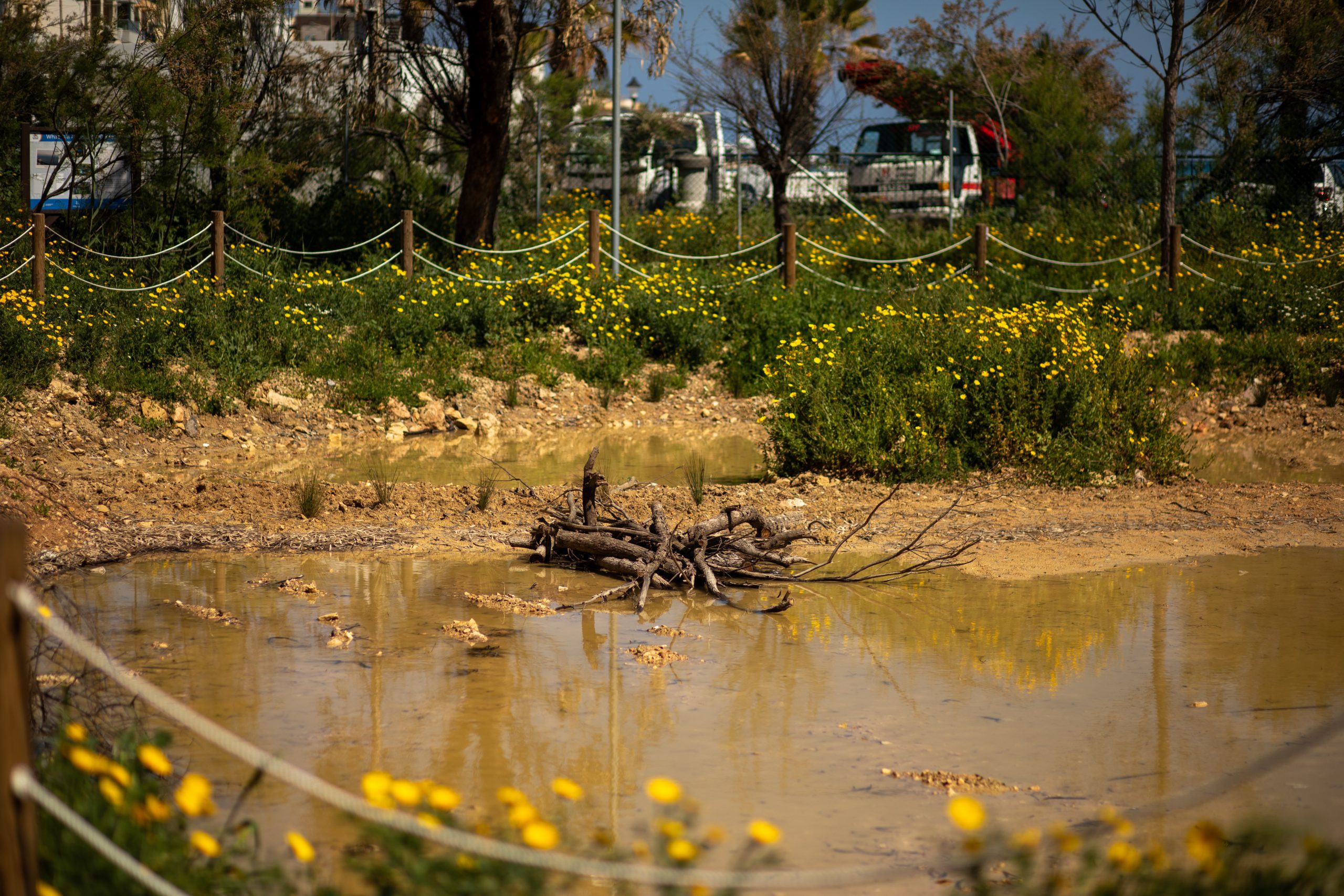 Gallery Of Vallery-1143