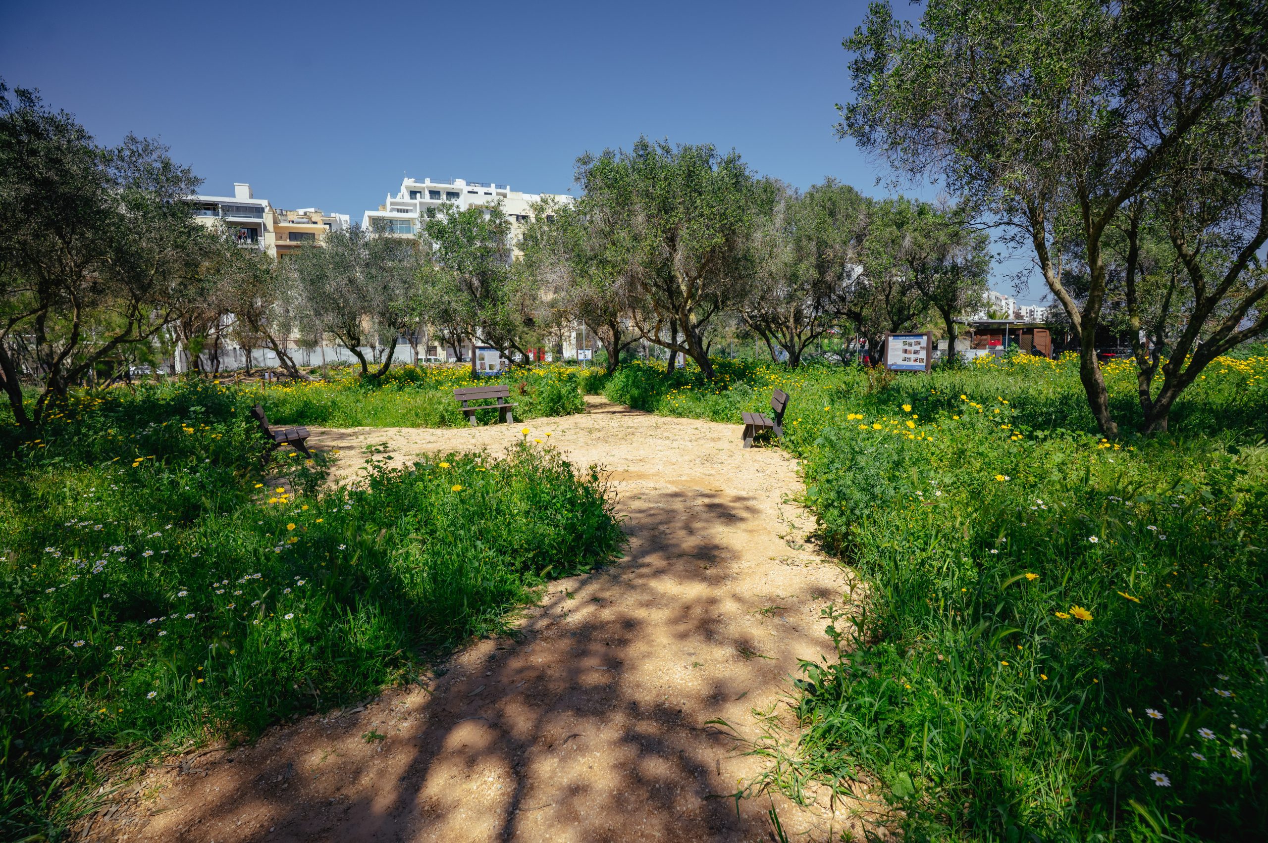 Gallery Of Vallery-7891