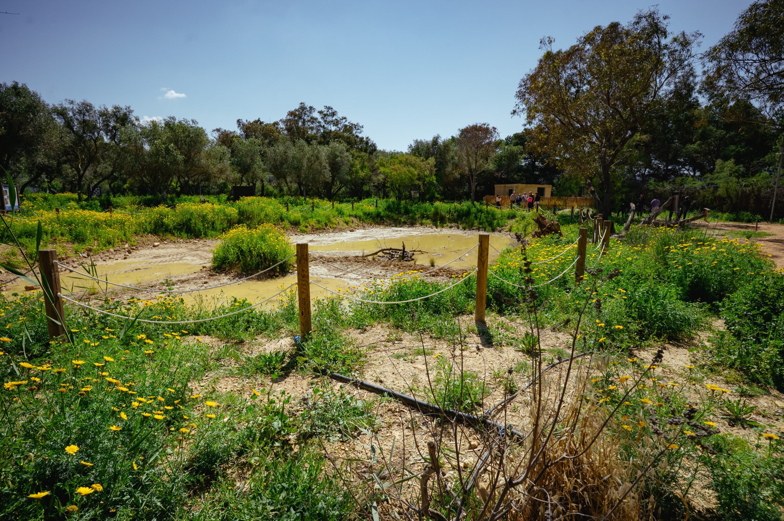 Gallery Of Vallery-7898